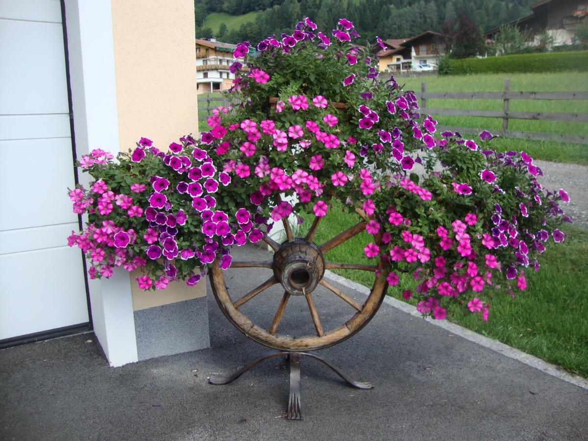Appartement Haus Schnepfleitner à Dorfgastein Extérieur photo
