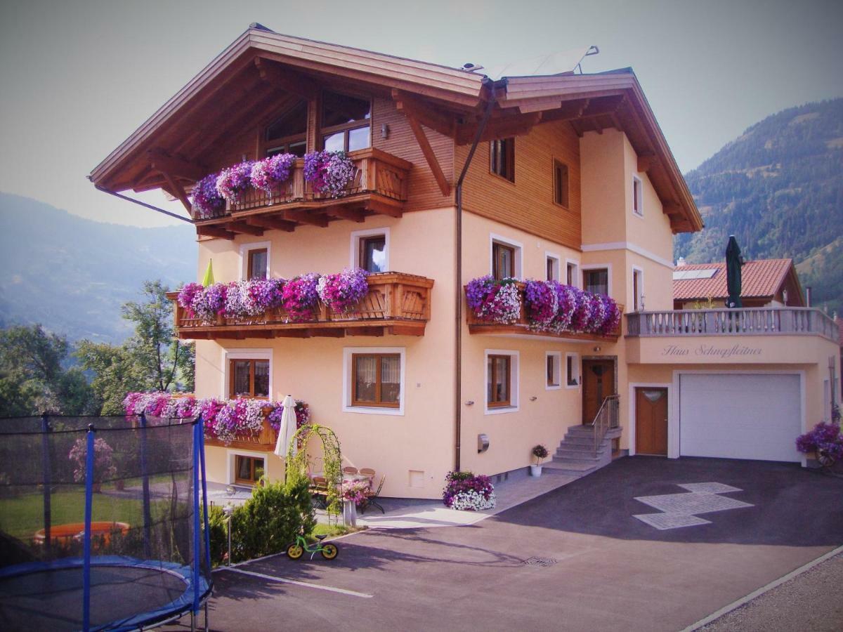 Appartement Haus Schnepfleitner à Dorfgastein Extérieur photo